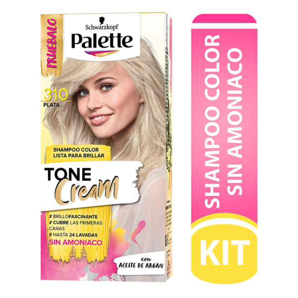 PALETTE TONE CREAM KIT 310 PLATA