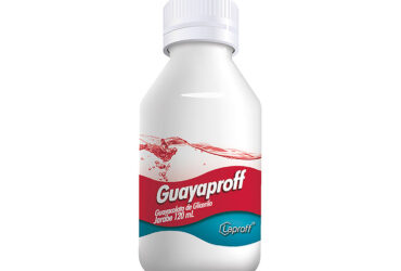 GUAYAPROFF GUAYACOLATO JBE 300 MG 120 ML