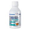 PROPOLEO NATURAL 180 ML ICOM