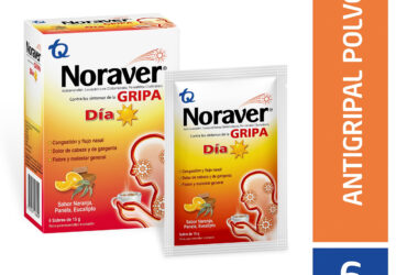 NORAVER GRIPA BEBIDA DIA 15 GR 6 SBS